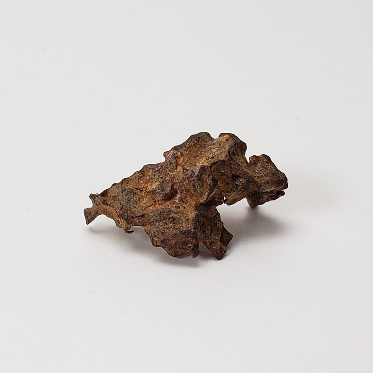 Imilac Meteorite | 1.56 Grams | Individual | Pallasite Stony Iron | Rare 1822 | Chile | Canagem.com