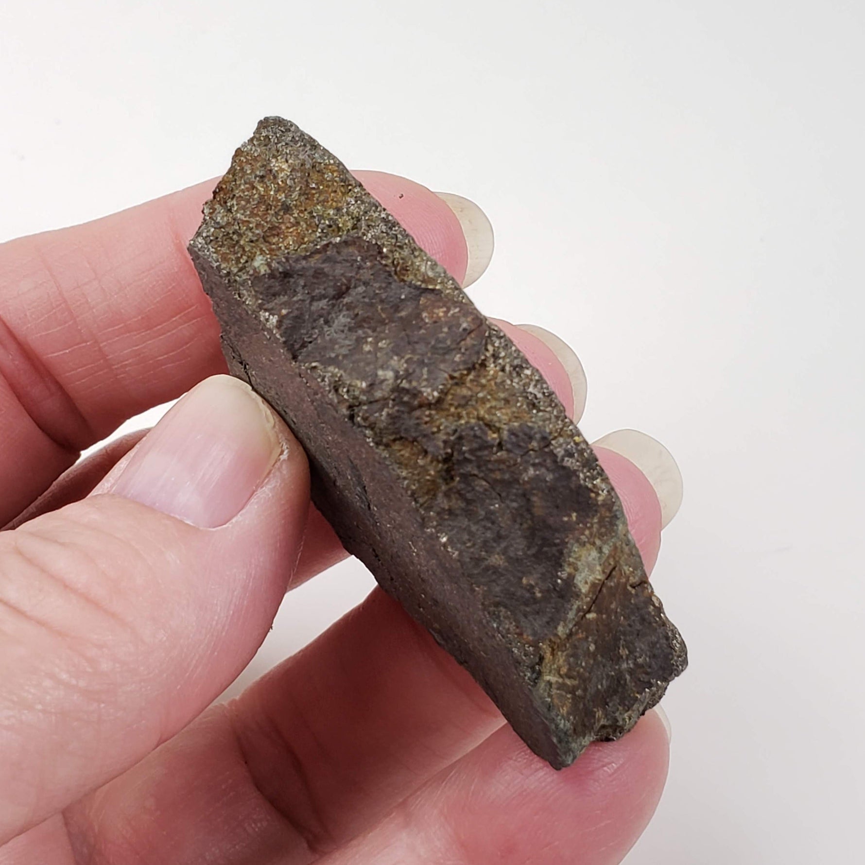 Impact Breccia Part Slice | 59.5 Grams | Metal Rich Impactite | Sudbury Structure, Canada,