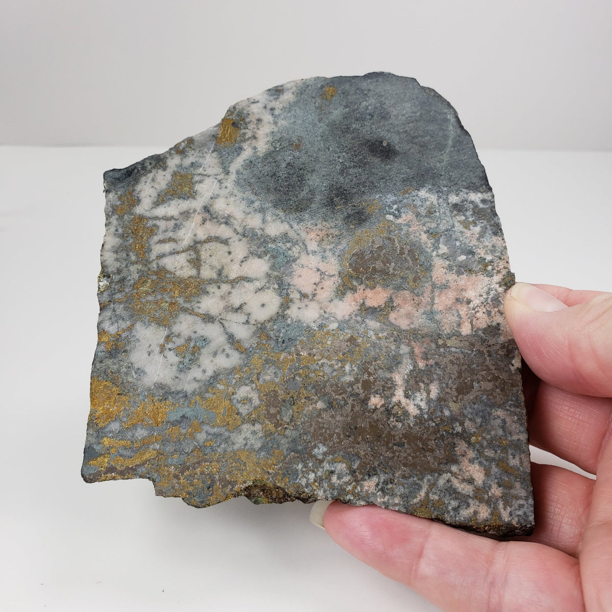  Impact Breccia Slice | 364 Grams | Golden Metal Veining Impactite | Sudbury Structure, Canada | SO24 