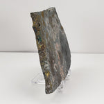  Impact Breccia Slice | 364 Grams | Golden Metal Veining Impactite | Sudbury Structure, Canada | SO24 