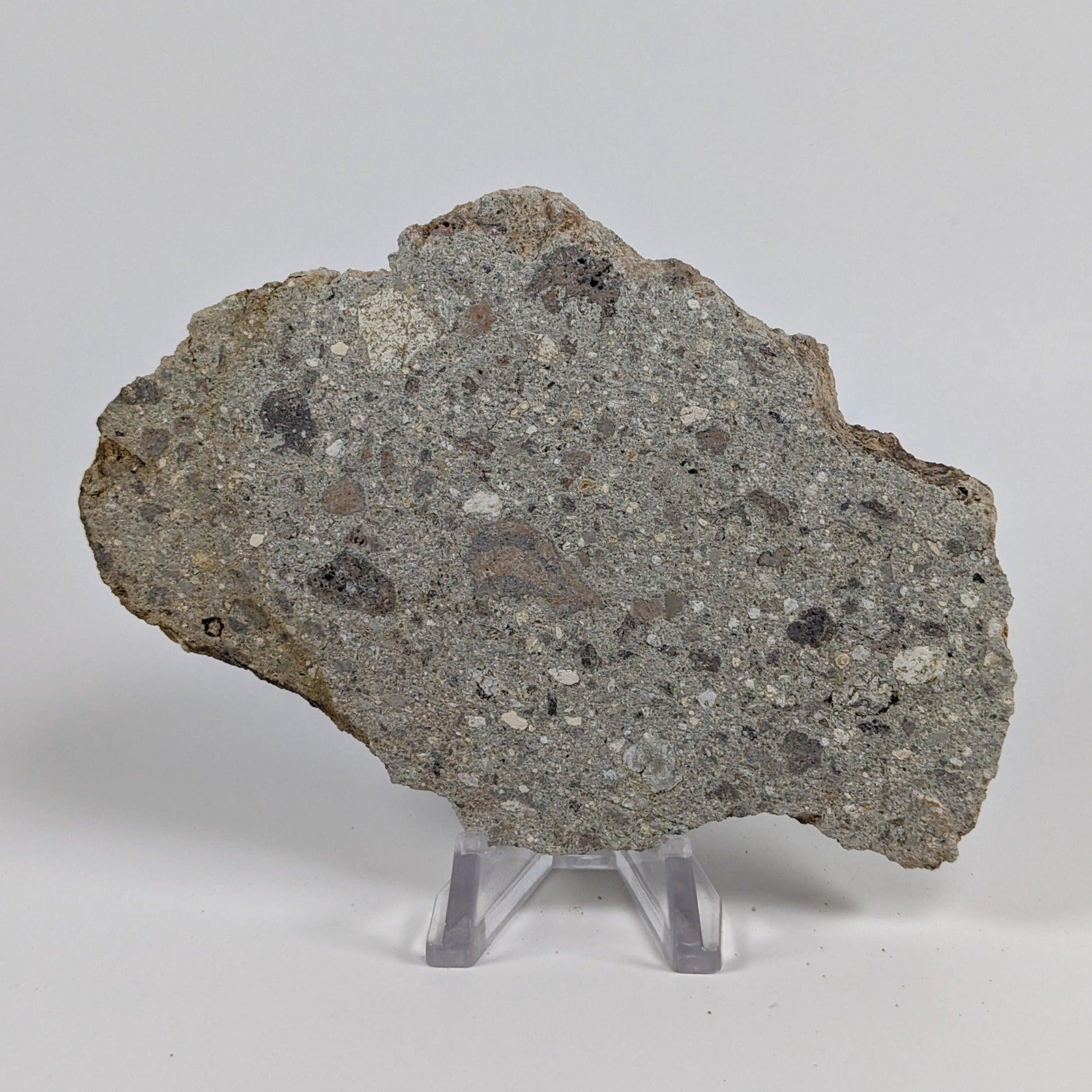  Impactite Melt Breccia Suevite | 86.6 grams | Ries Crater Germany 