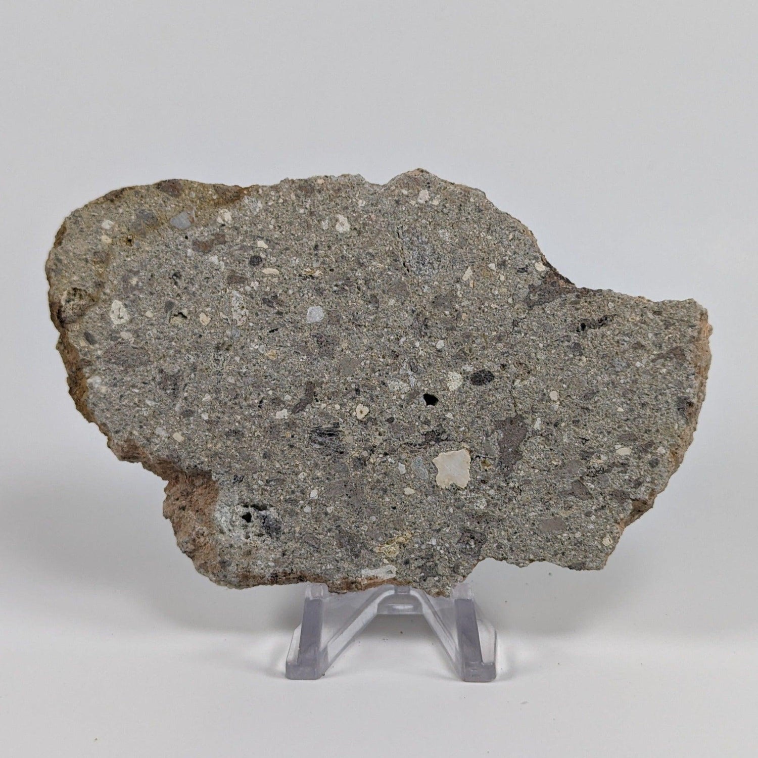  Impactite Melt Breccia Suevite | 86.6 grams | Ries Crater Germany 