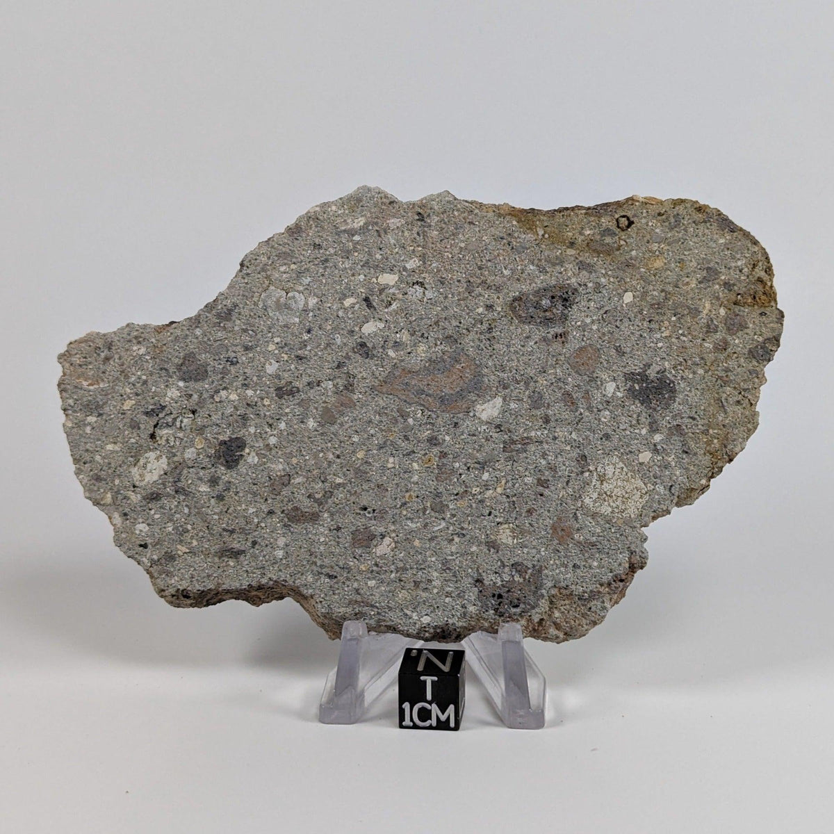  Impactite Melt Breccia Suevite | 86.6 grams | Ries Crater Germany 