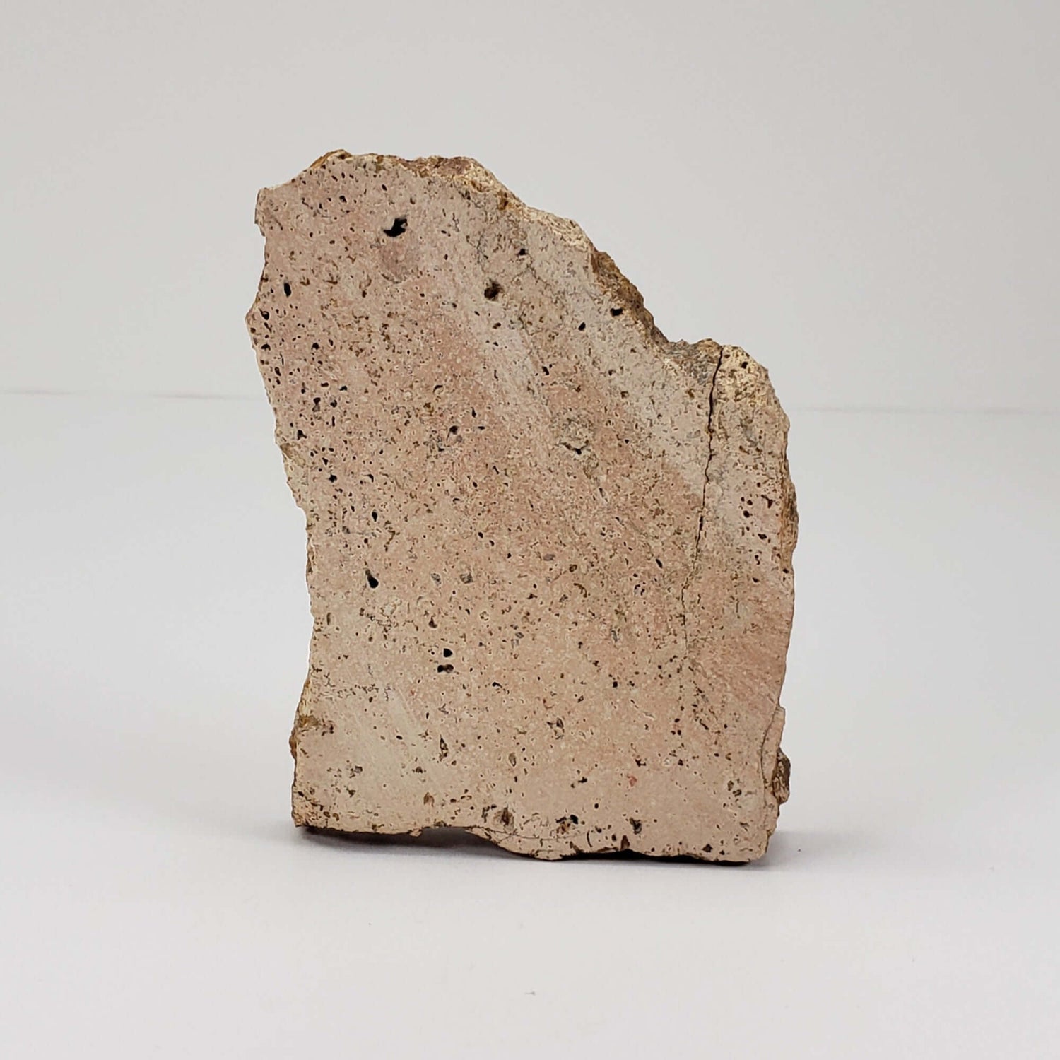  Impactite Vesicular Breccia Suevite | 52.8 Grams | La Valette, France | Rochechouart Structure 