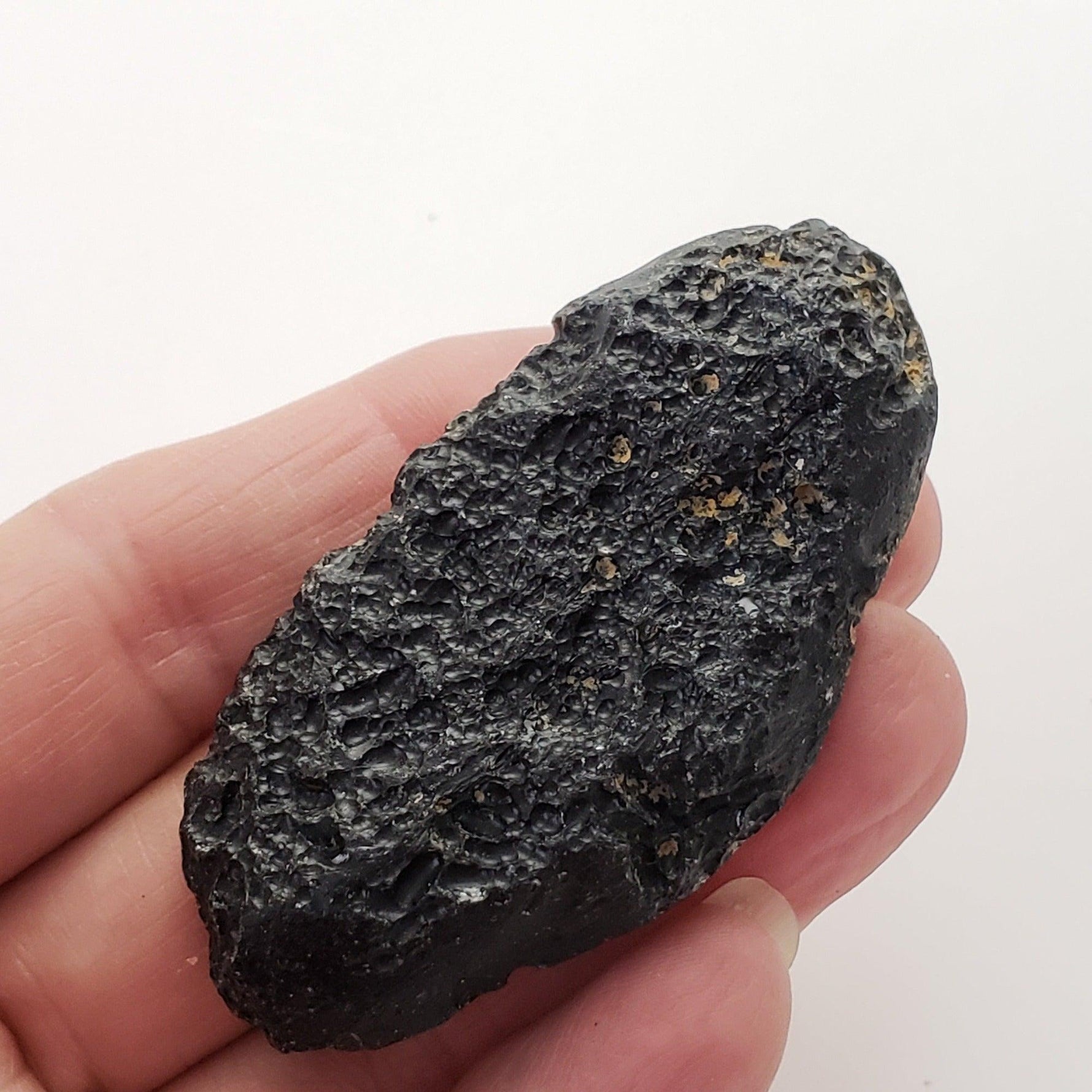  Indochinite Tektite | 48.2 Grams | Impactite 