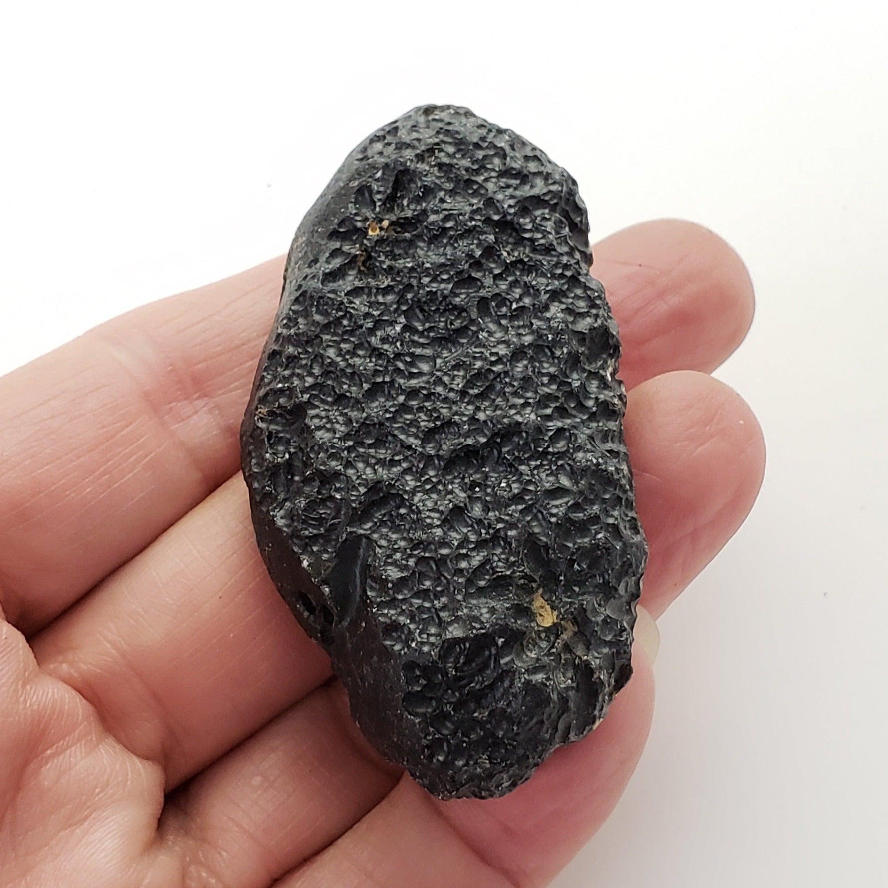  Indochinite Tektite | 48.2 Grams | Impactite 