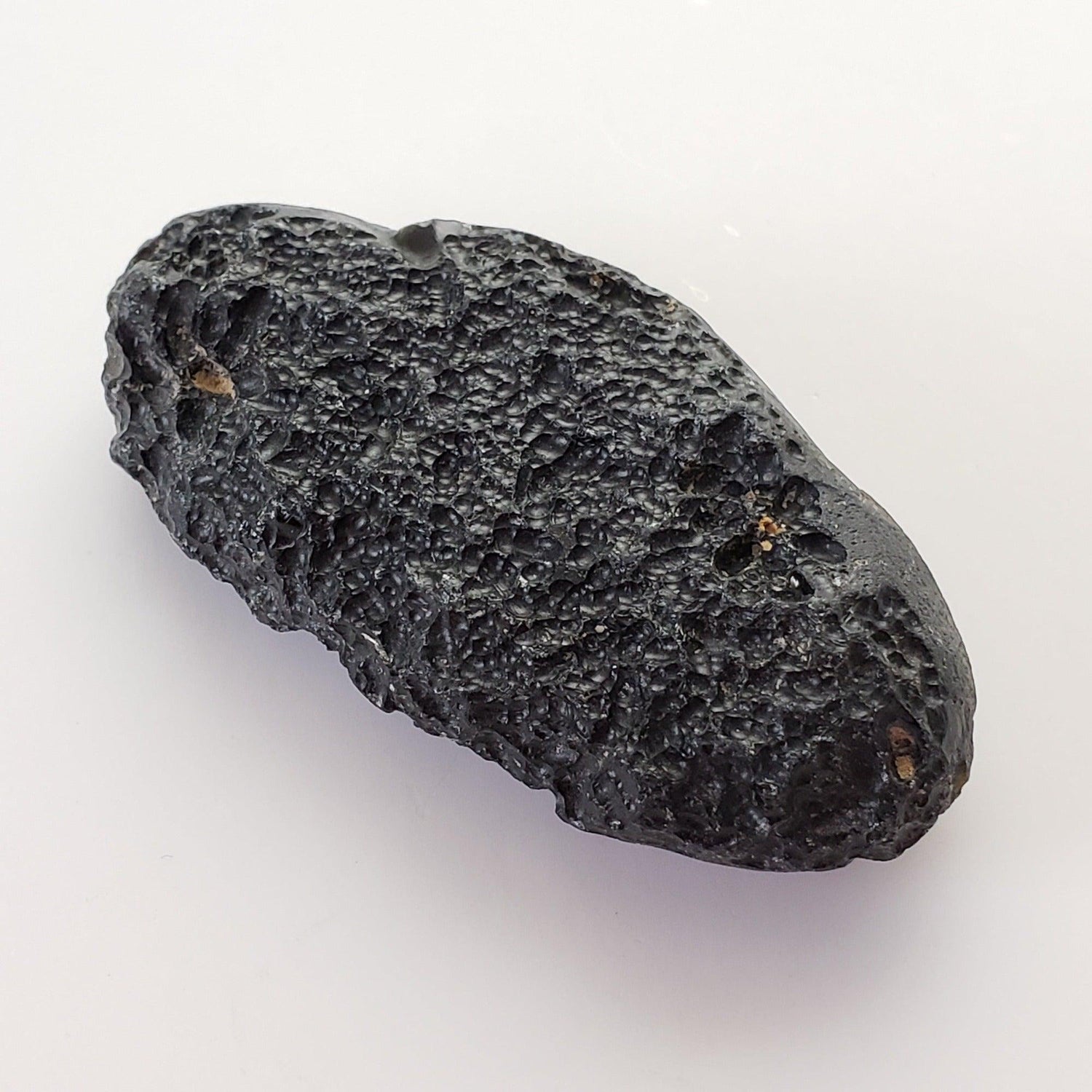  Indochinite Tektite | 48.2 Grams | Impactite 