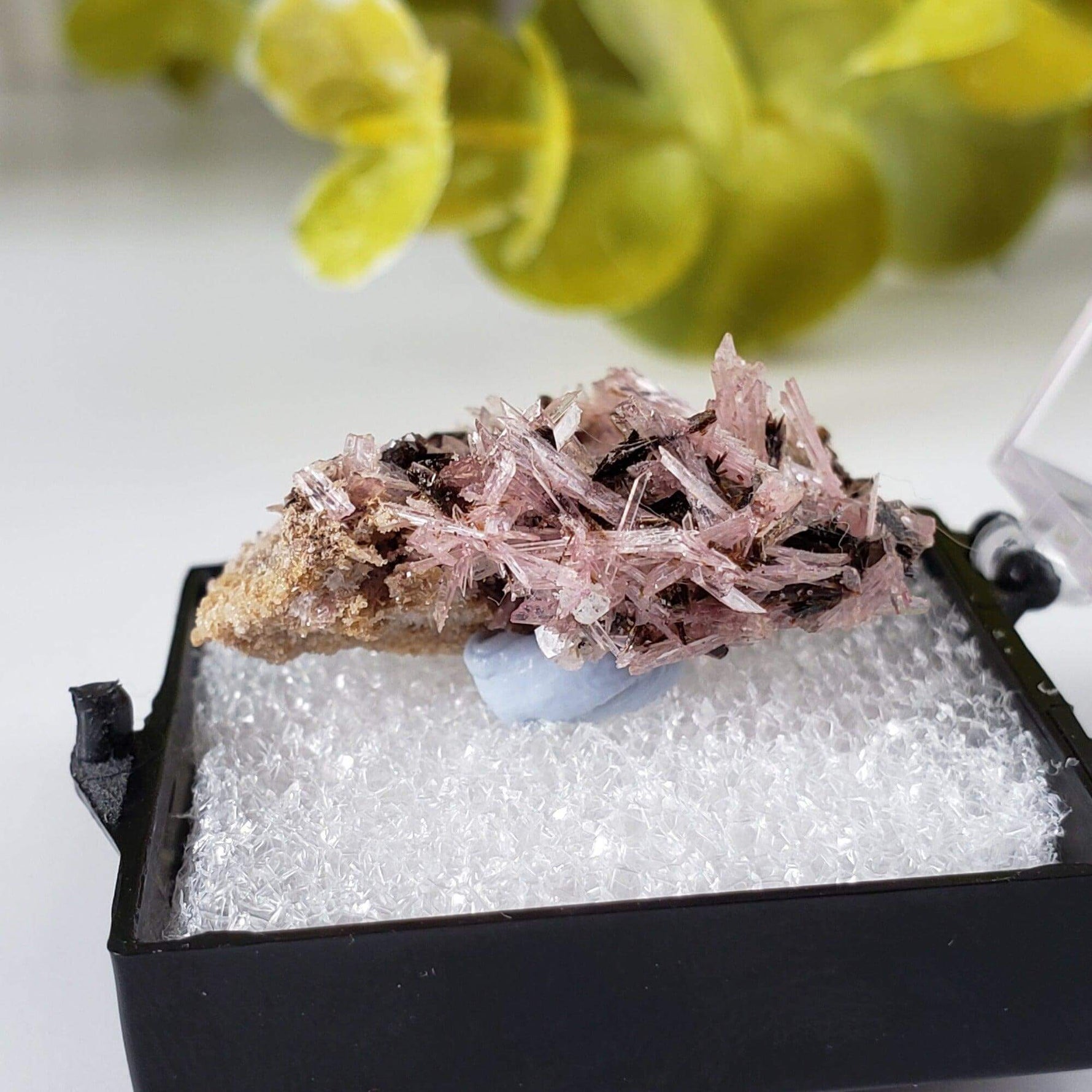 Inesite on Hubeite | Rare Mineral | Unique Crystal | Ezhou, Hubei Province, China