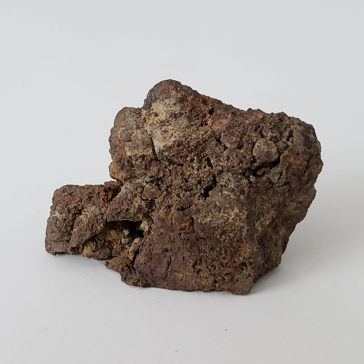 Korra Korrabes Meteorite | 24.1 Gr | End Cut | H3 | Gibeon Strewnfield, Namaland, Namibia