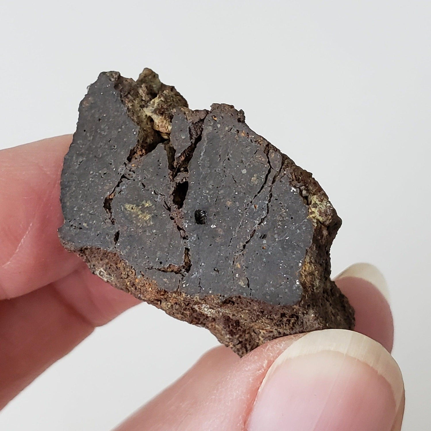 Korra Korrabes Meteorite | 24.1 Gr | End Cut | H3 | Gibeon Strewnfield, Namaland, Namibia