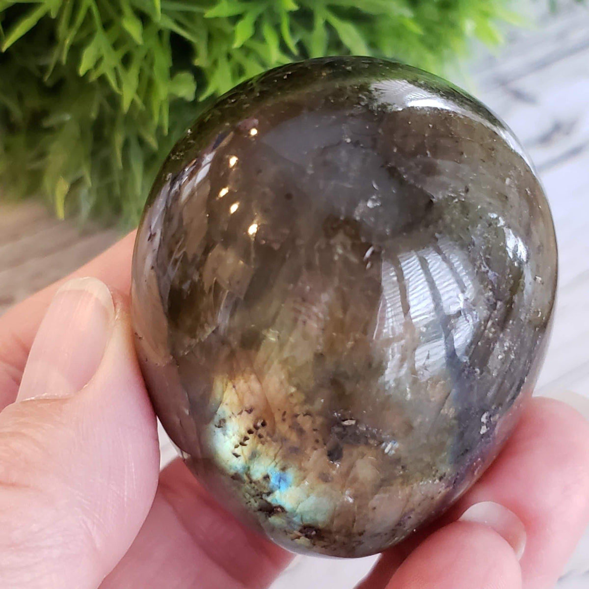 Labradorite Egg | Natural Gray Rainbow | 160 gr | Madagascar