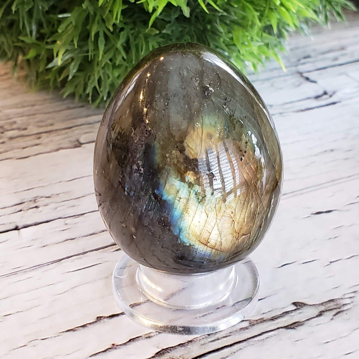 Labradorite Egg | Natural Gray Rainbow | 160 gr | Madagascar