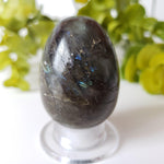 Labradorite Egg | Natural Gray Rainbow | 88.59 Gr | Madagascar