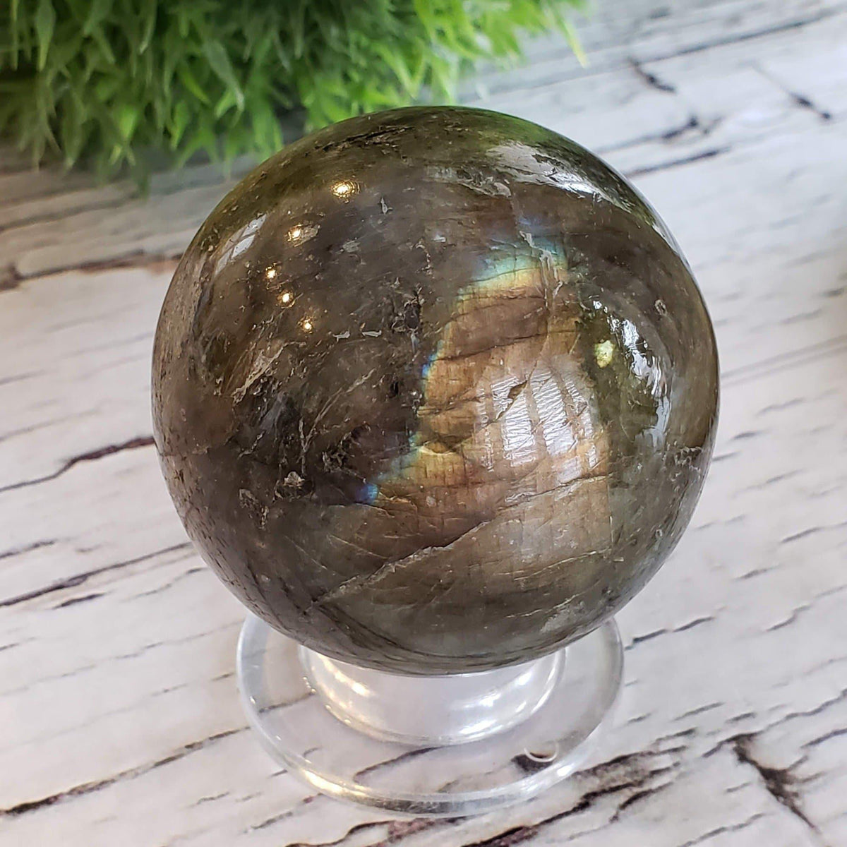  Labradorite Sphere Natural Gray Rainbow 49 mm, 1.9 in Madagascar 