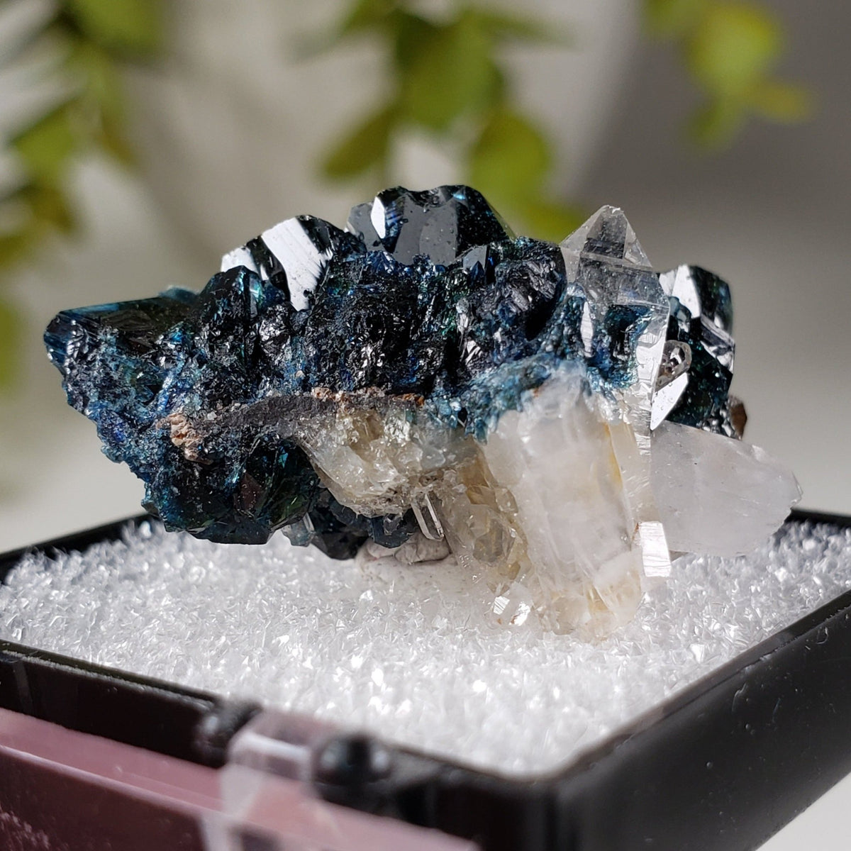  Lazulite Crystal | Perky Box Thumbnail Specimen | Yukon, Canada 