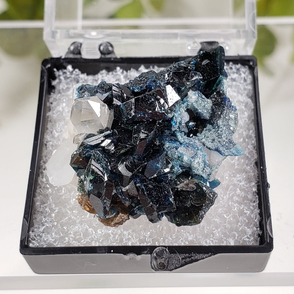  Lazulite Crystal | Perky Box Thumbnail Specimen | Yukon, Canada 