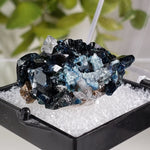  Lazulite Crystal | Perky Box Thumbnail Specimen | Yukon, Canada 