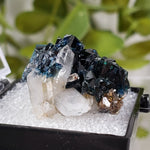  Lazulite Crystal | Perky Box Thumbnail Specimen | Yukon, Canada 