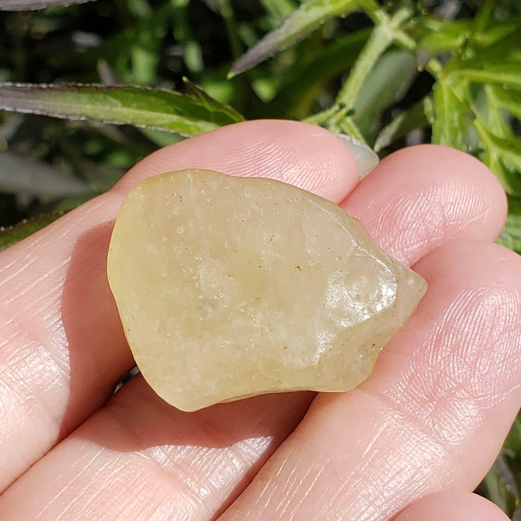  Libyan Desert Glass Tektite |13.02 Grams | Authentic Impactite 