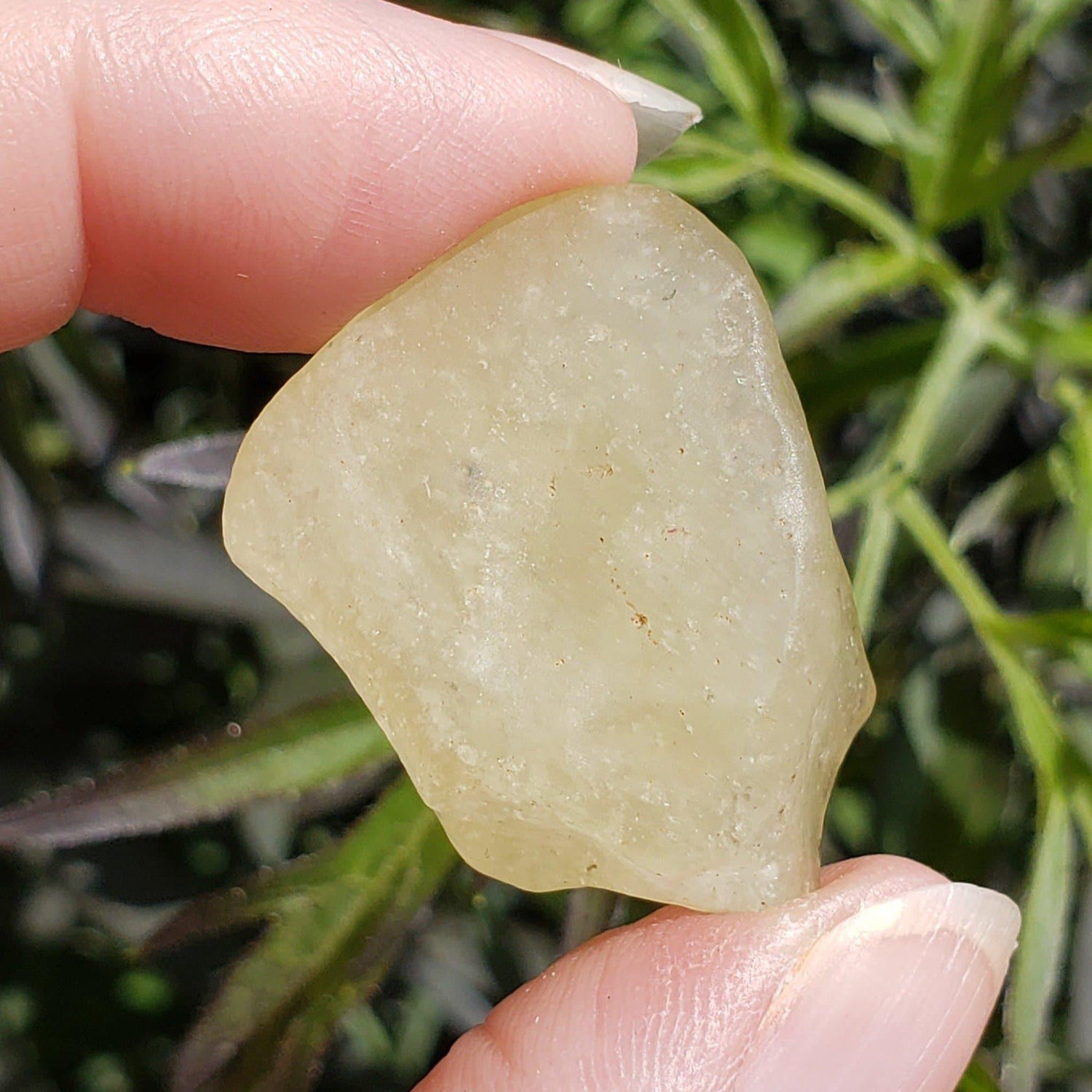  Libyan Desert Glass Tektite |13.02 Grams | Authentic Impactite 