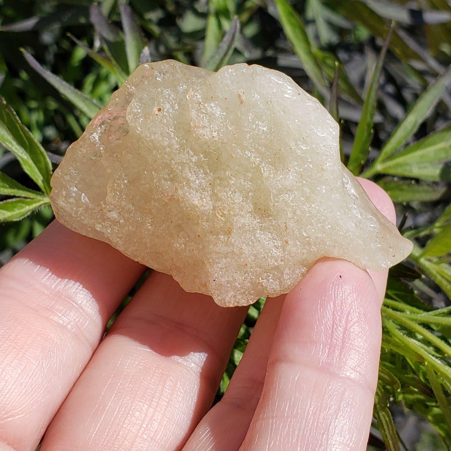  Libyan Desert Glass Natural Impact Glass 40 Grams Authentic Impactite 