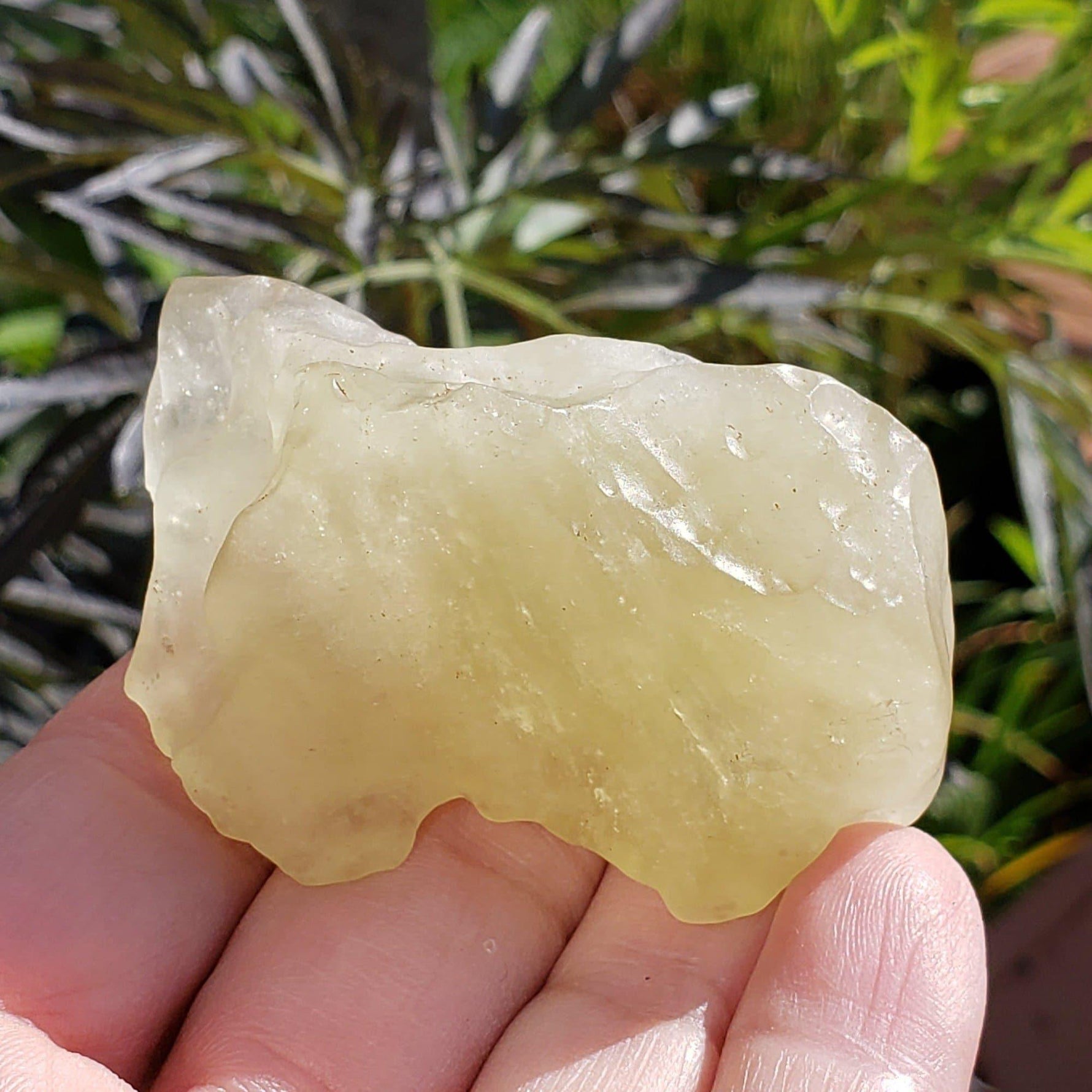  Libyan Desert Glass 75.37 Grams Authentic Impactite 