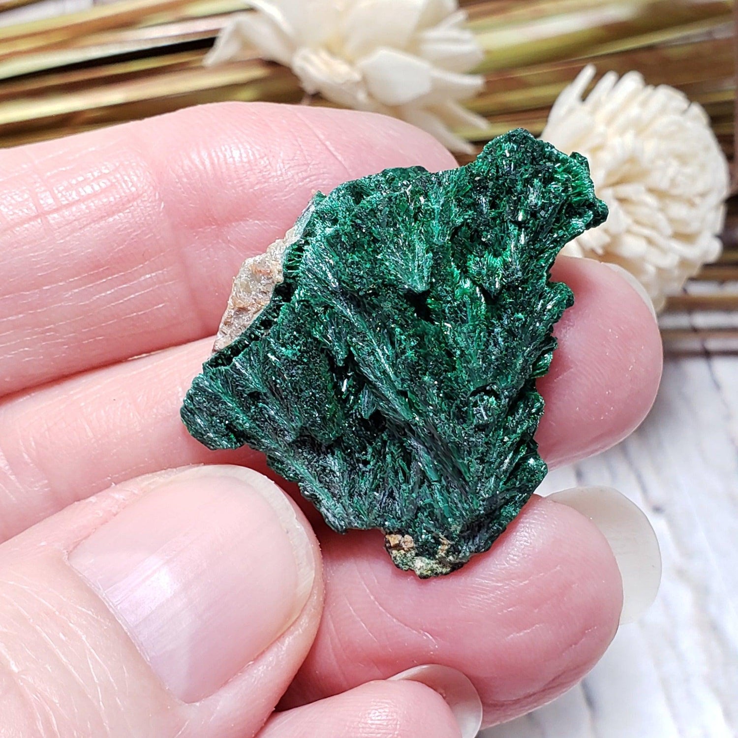 Malachite Crystal | Fibrous Malachite |13 Grams | Shaba Copper Belt, Congo