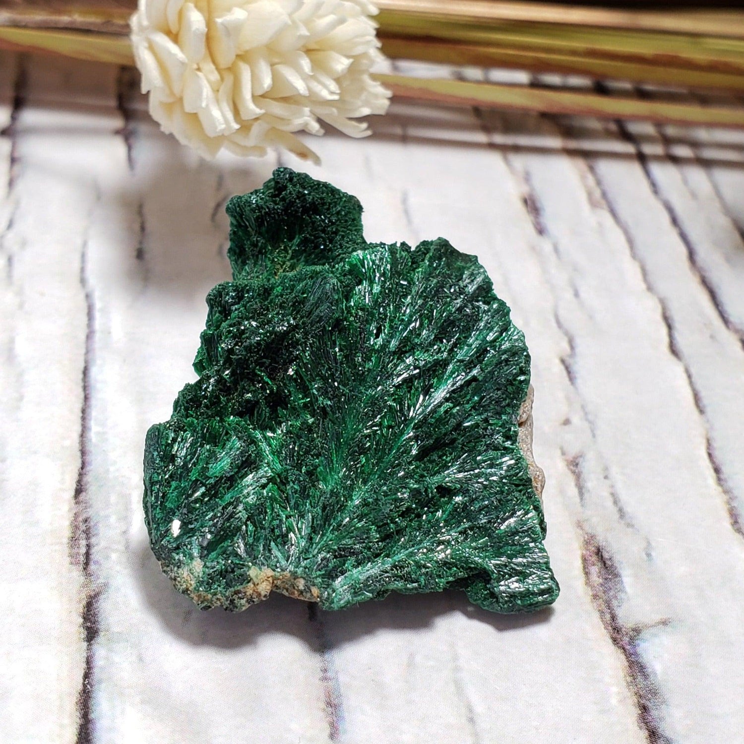 Malachite Crystal | Fibrous Malachite | 13 Grams | Shaba Copper Belt, Congo