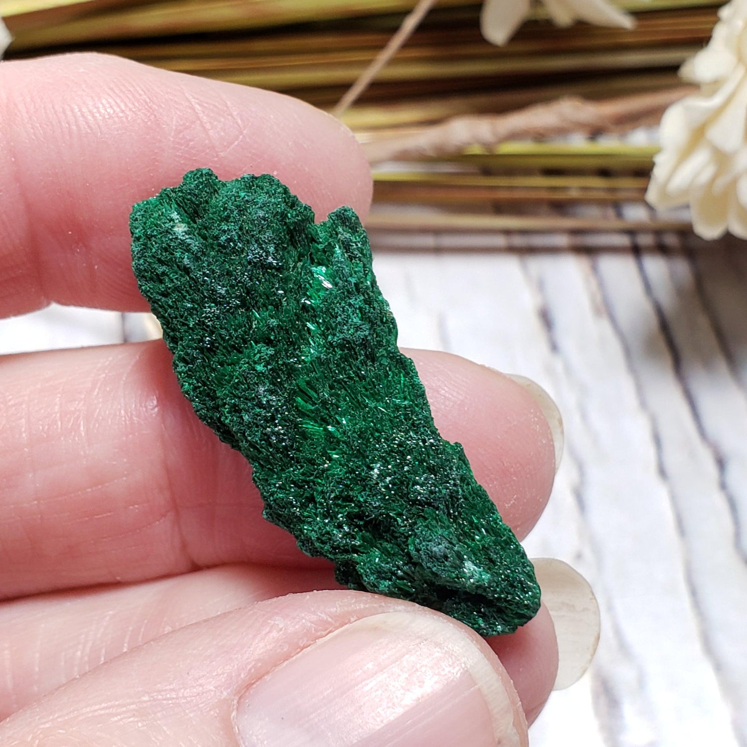 Malachite Crystal | Fibrous Malachite | 6 Grams | Shaba Copper Belt, Congo