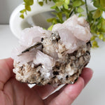  Mangano Calcite Crystal 601 grams  from 2nd Sovietsky Mine Dalnegorsk, Russia 