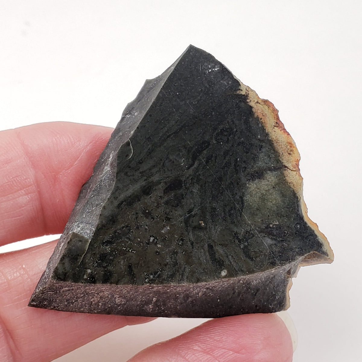 Melt Glass Part-Slice | 28.35 Grams | Impactite | Sudbury Structure, Canada,