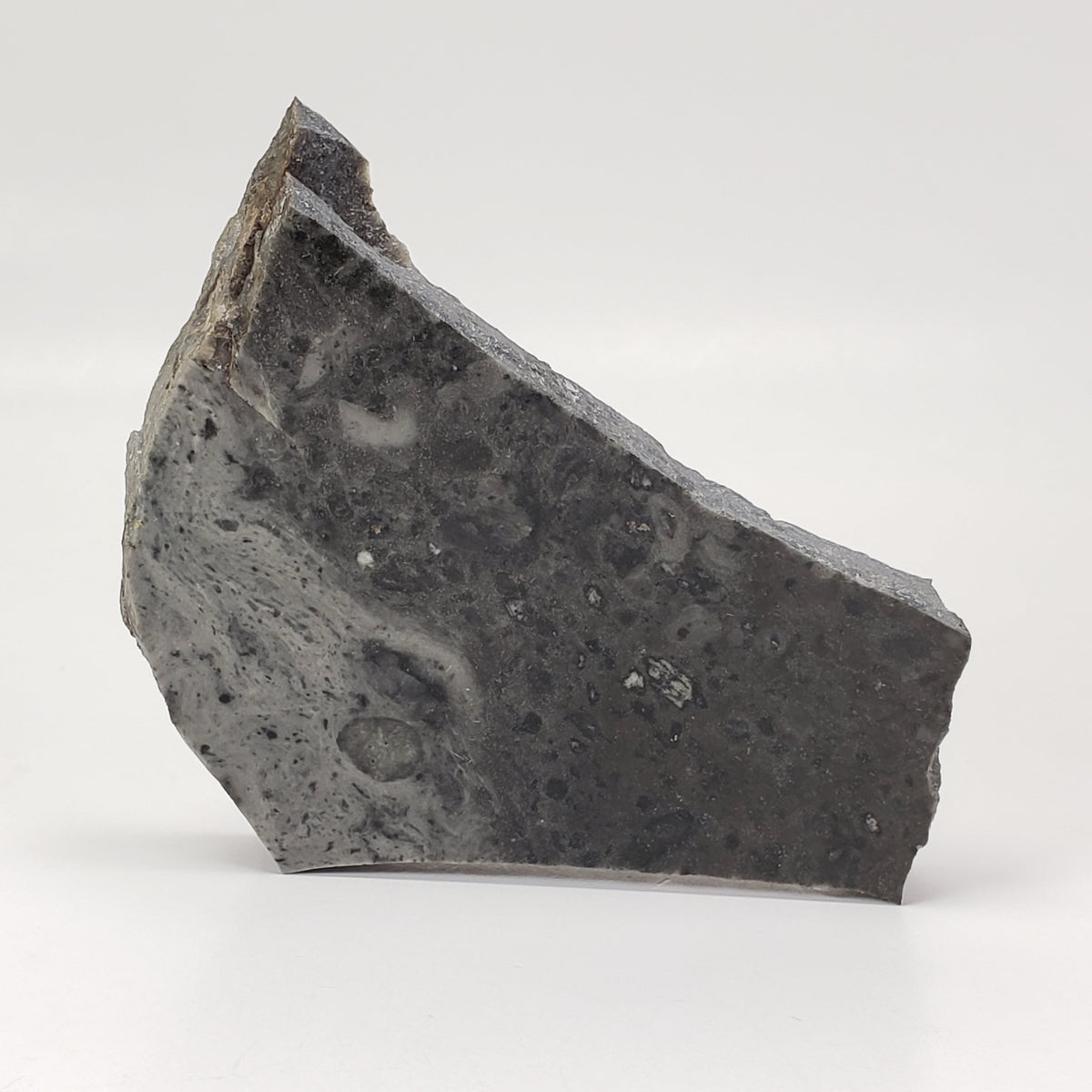 Melt Glass Part-Slice | 85.59 Grams | Impactite | Sudbury Structure, Canada,