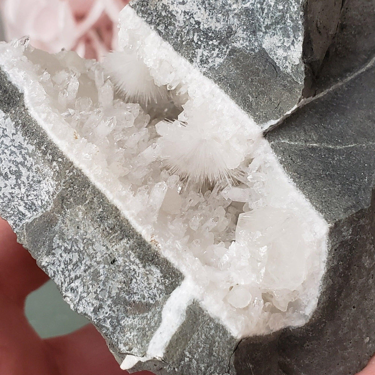 Mesolite Flowers on Quartz and Prehnite in Geode | 519 grams | Dindoshi India