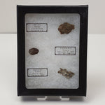  Meteorite-in-a-Box Mini World Collection Trio | Sericho, Sikhote-Alin & Seymchan 