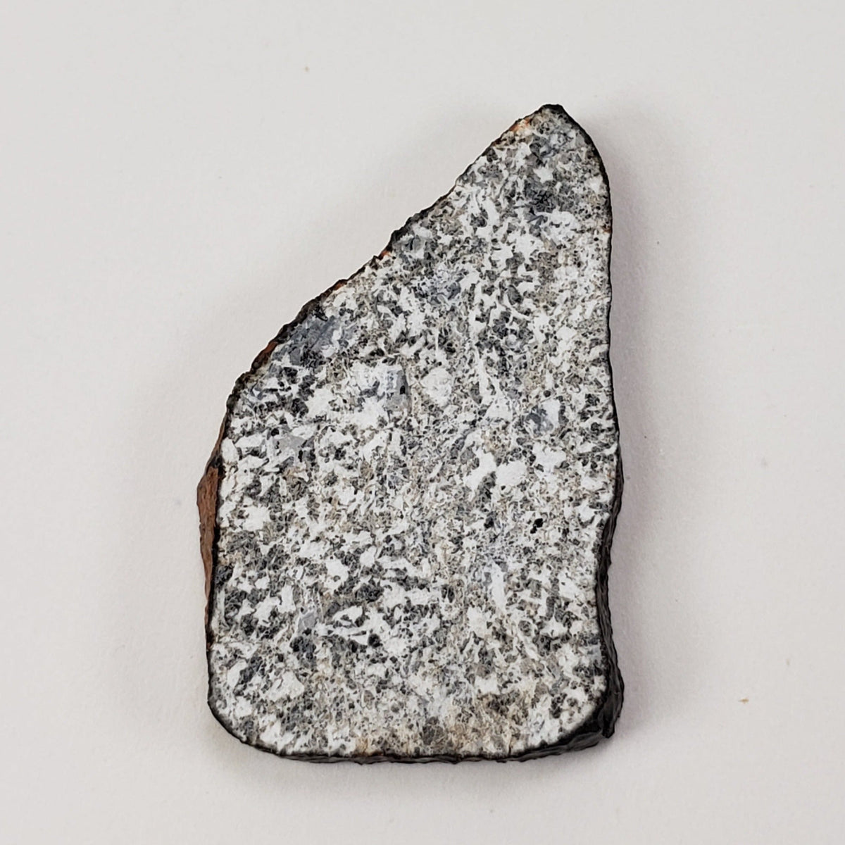  Millbillillie Meteorite | 3.86 Gr | Full Slice | ELKK Specimen | AEUC-M Premium | Australia 