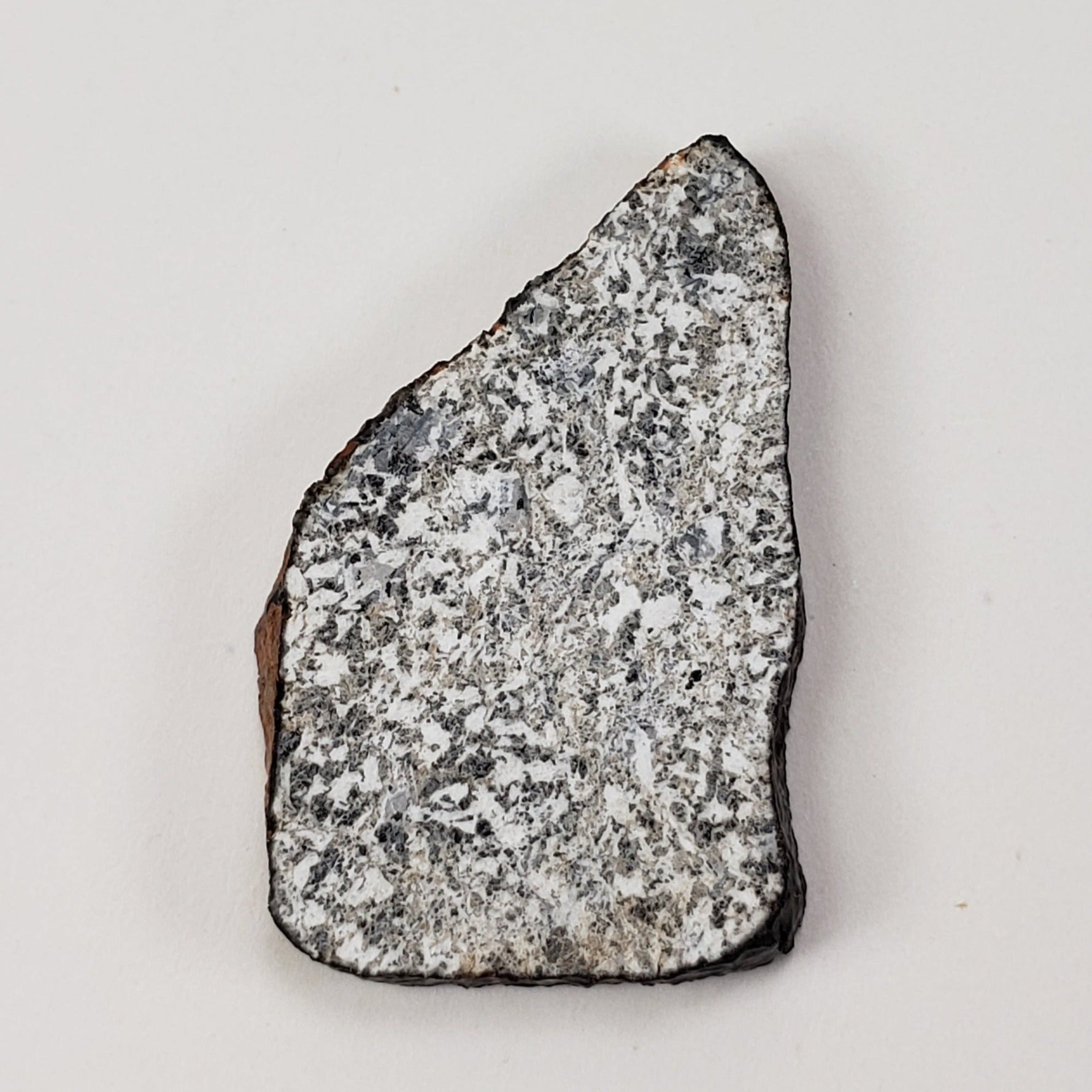  Millbillillie Meteorite | 3.86 Gr | Full Slice | ELKK Specimen | AEUC-M Premium | Australia 