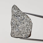  Millbillillie Meteorite | 3.86 Gr | Full Slice | ELKK Specimen | AEUC-M Premium | Australia 