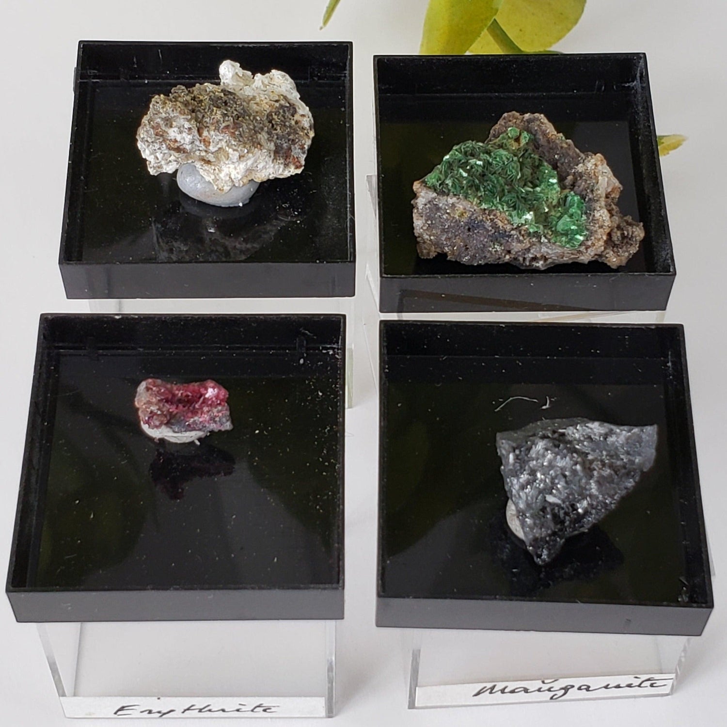 Mineral World Series Crystal Collection | Lot of 4 | Protective Display Box | Rare Premium Specimens