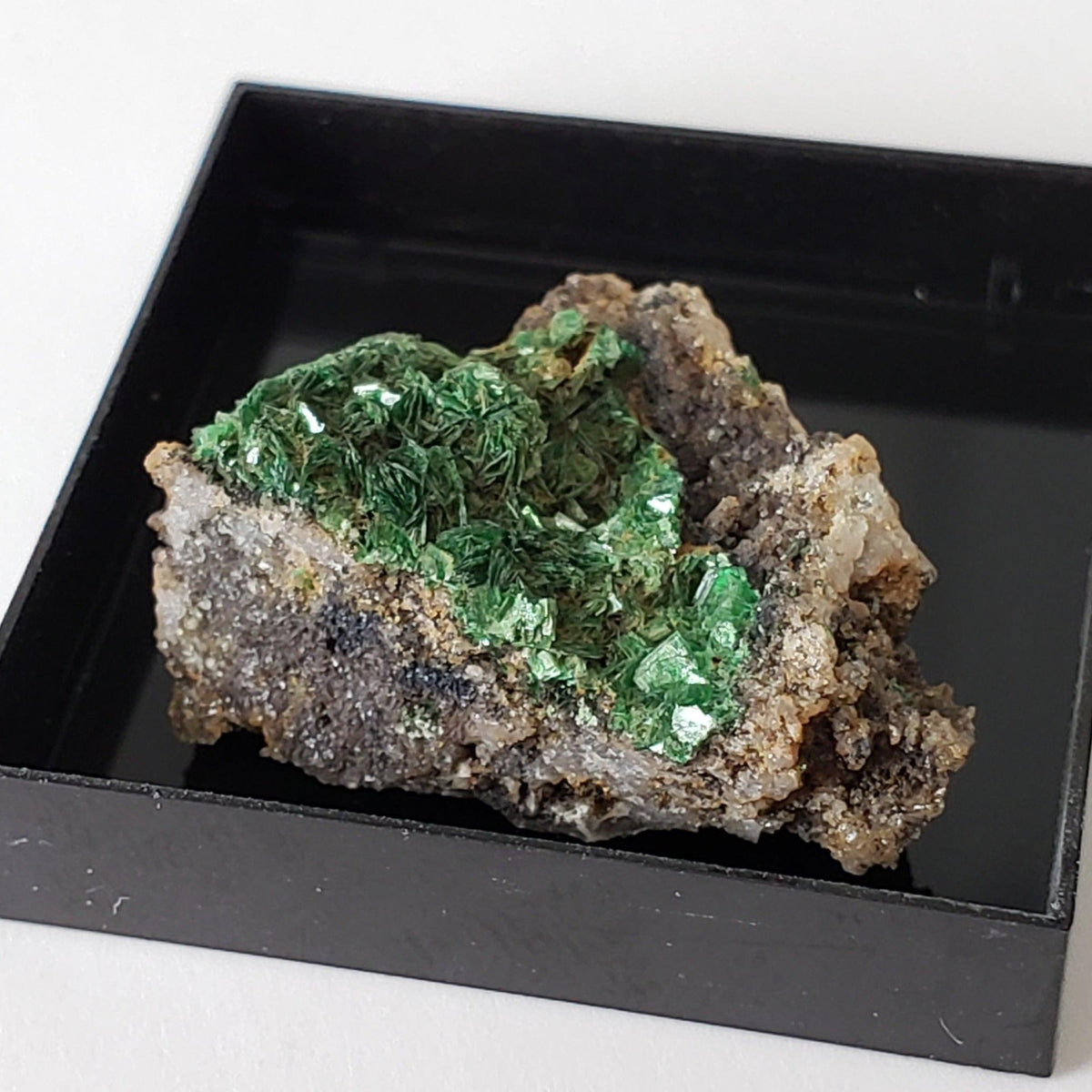 Mineral World Series Crystal Collection | Lot of 4 | Protective Display Box | Rare Premium Specimens