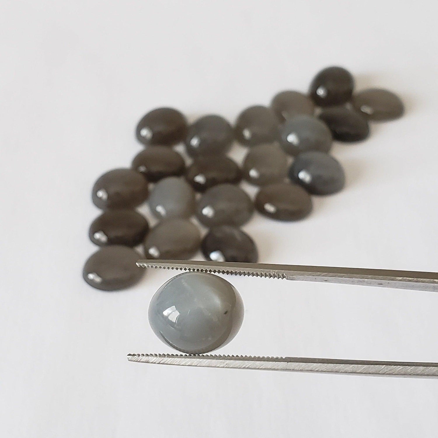 Moonstone | Oval Cabochon | Gray | 12x10mm 4.60ct | India