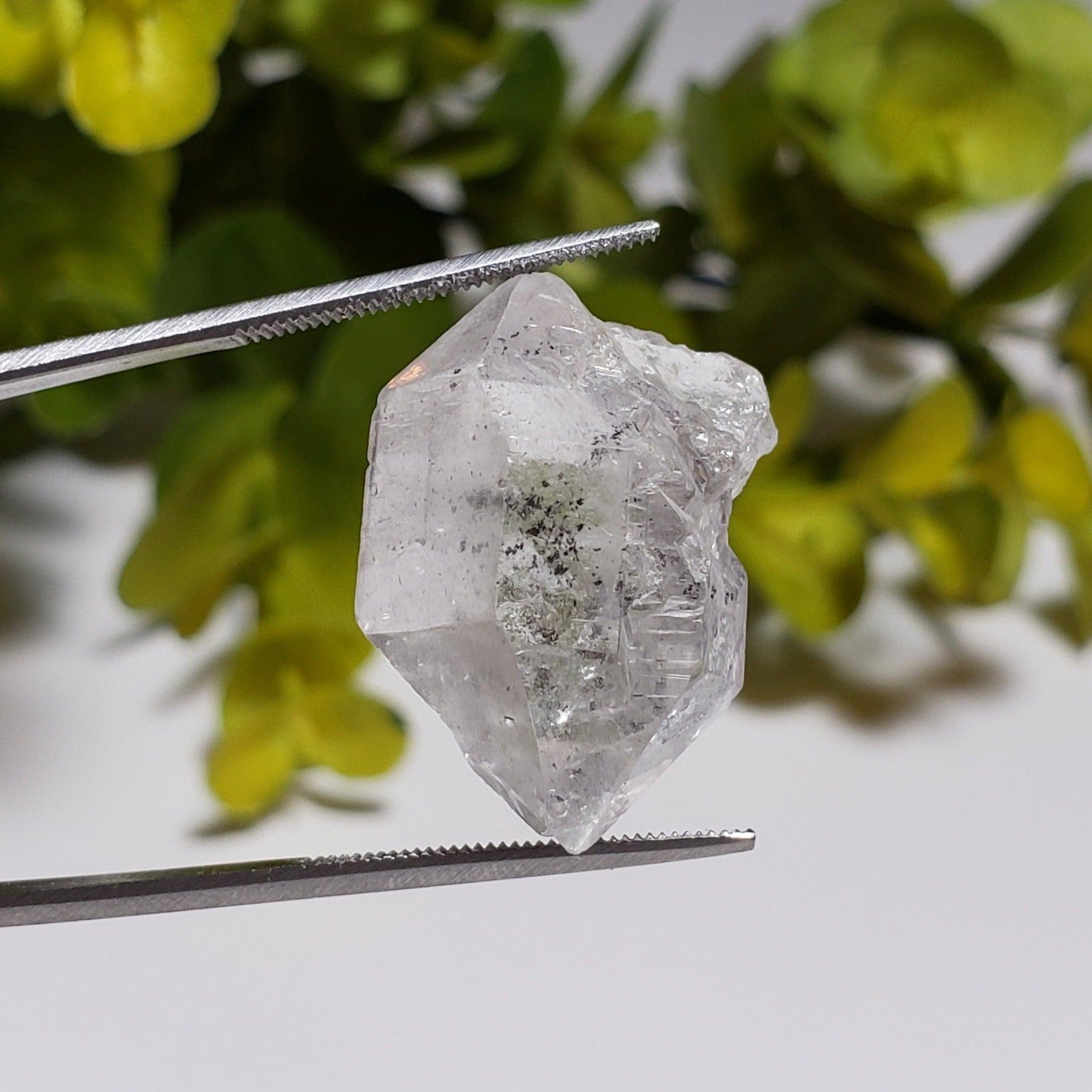  Multi Terminated Phantom Quartz Point | Natural Raw Quartz | 25 mm | Brazil 