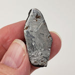 SpaceMeteoritesCanagem.com