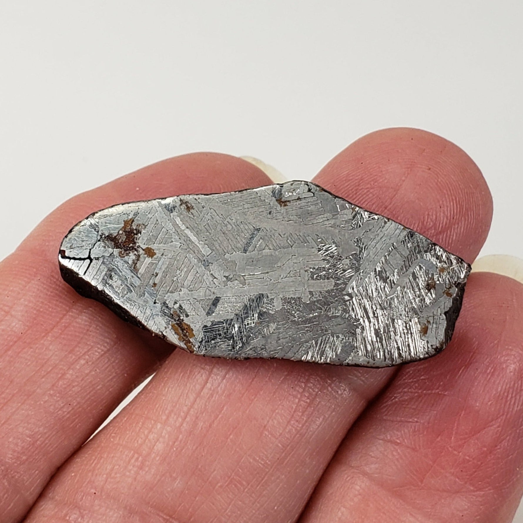  Mundrabilla Meteorite | 12.92 Gr | Etched End Cut | Iron IAB-ung | Australia | SO24 