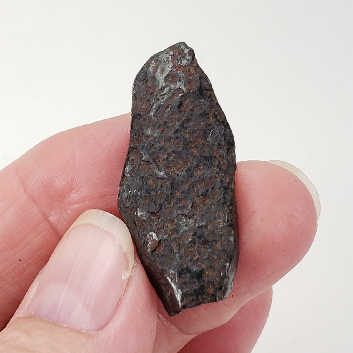 SpaceMeteoritesCanagem.com