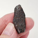  Mundrabilla Meteorite | 12.92 Gr | Etched End Cut | Iron IAB-ung | Australia | SO24 