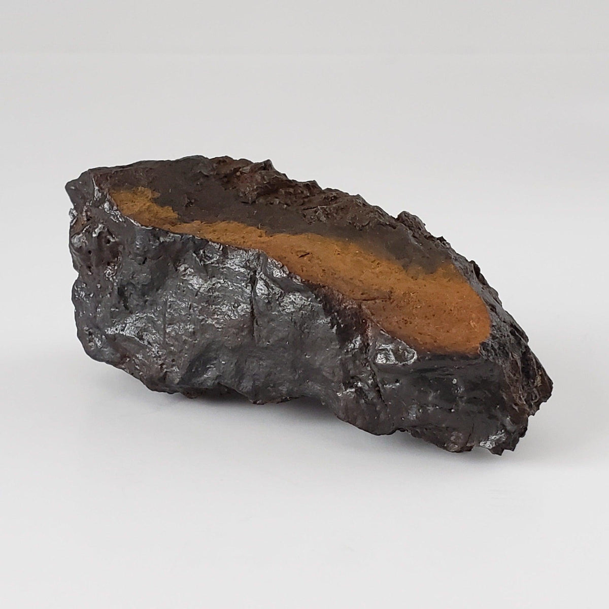  Nantan Meteorite | 157.3 grams | Individual | IAB-MG | Guangxi China 