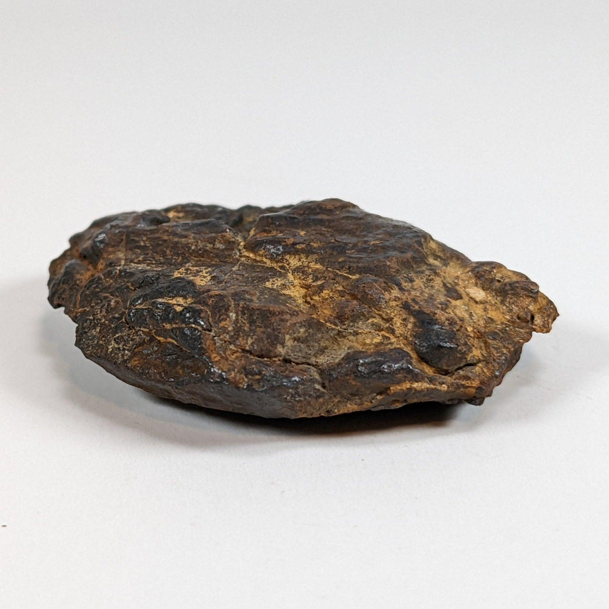  Nantan Meteorite-in-a-Box | 36.89 gr | Individual | IAB-MG | Guangxi China 