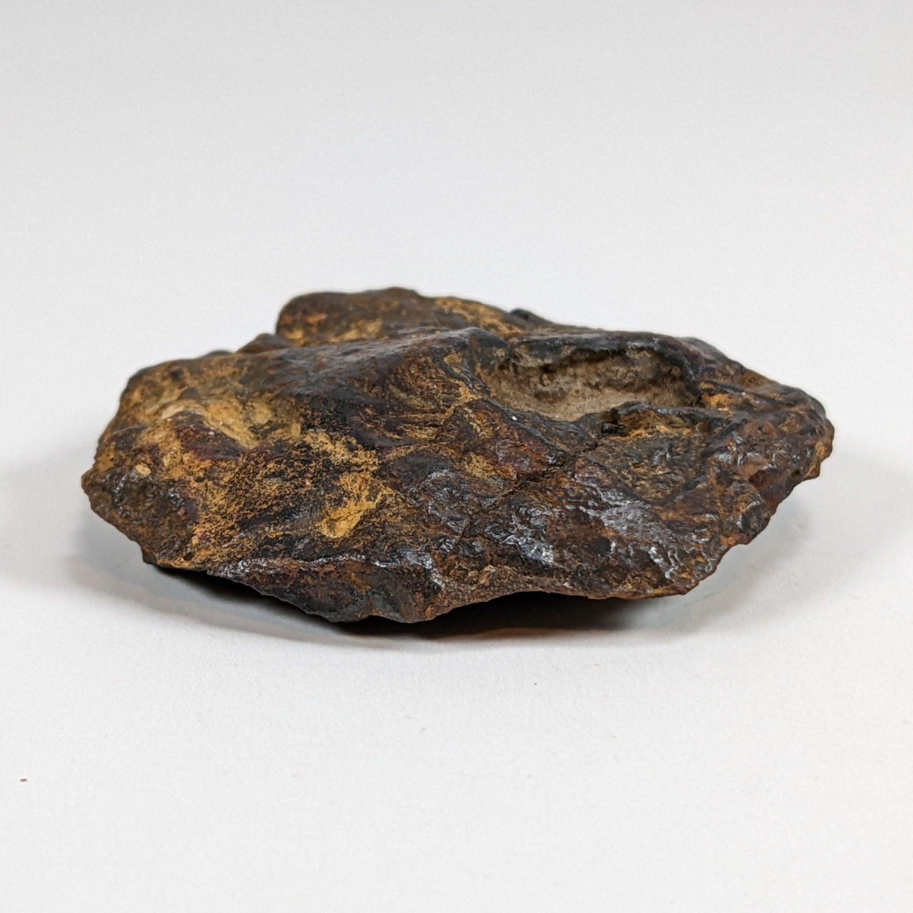  Nantan Meteorite-in-a-Box | 36.89 gr | Individual | IAB-MG | Guangxi China 