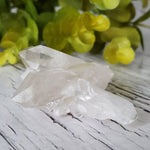  Natural Clear Quartz Points Crystal Cluster | 73.9gr | North Bend, USA 