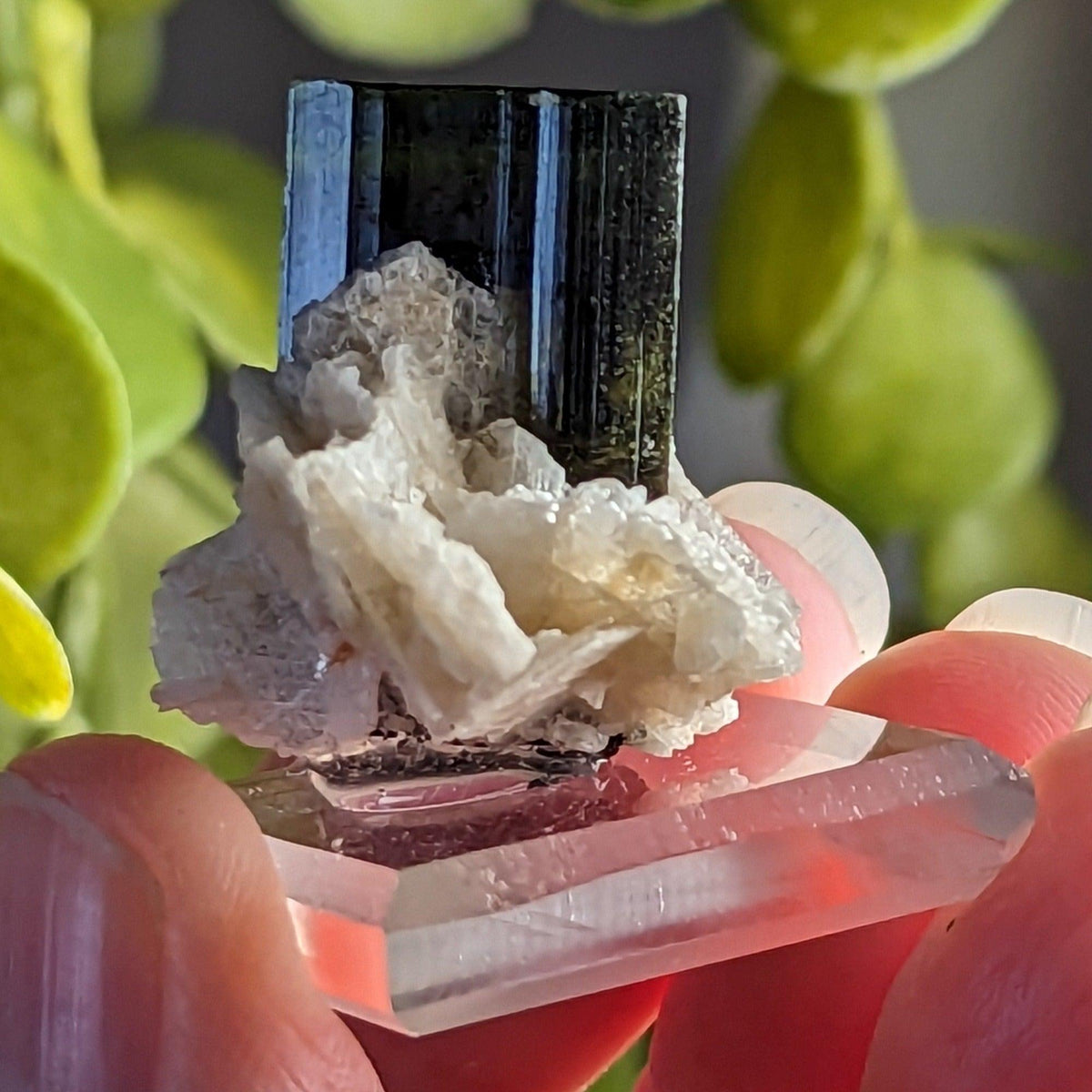  Natural Elbaite Tourmaline with Albite | 17.6 grams | Stak Nala, Gilgit District Pakistan 